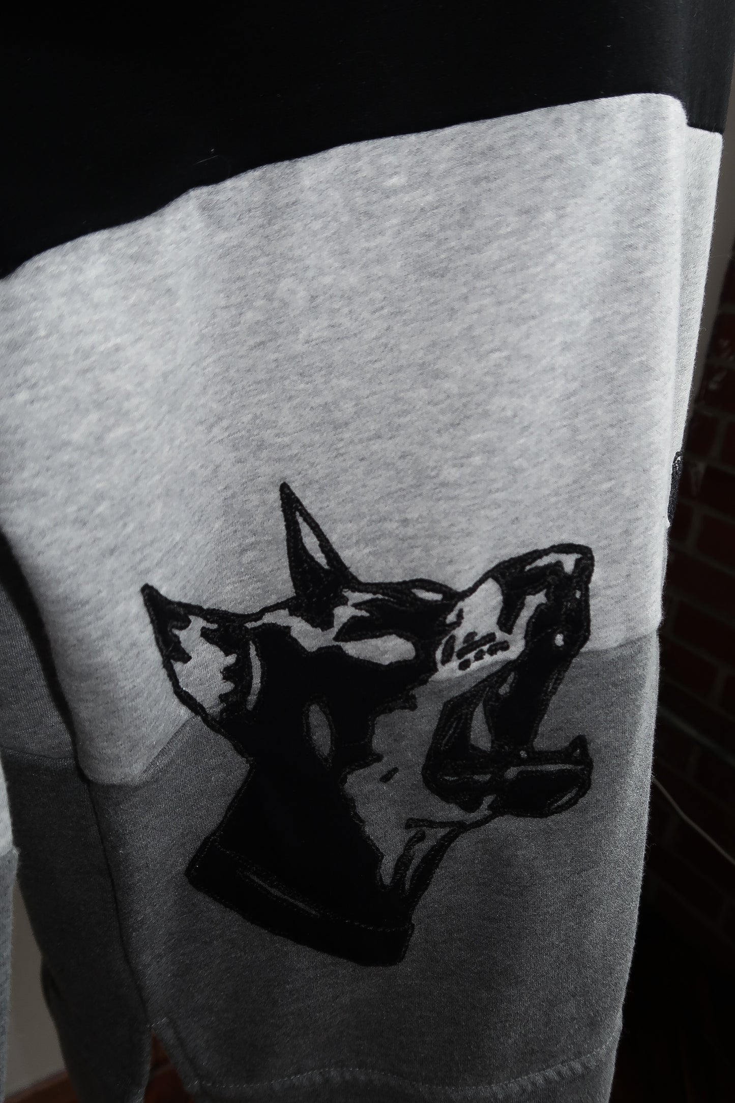 LOVE PUP Colorblock Crew - XL